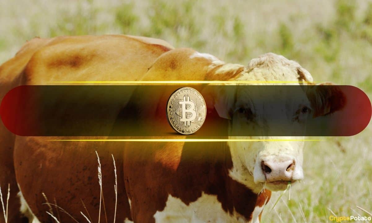Bitcoin Market Structure Continues to Improve as Bullish Undertones Build: Glassnode